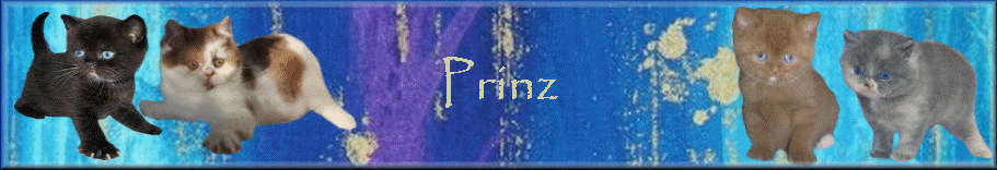 Prinz