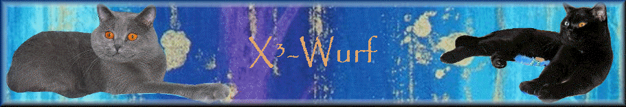 X³-Wurf