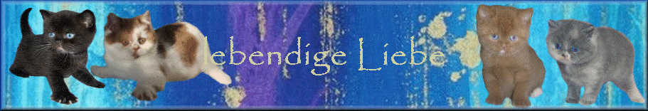 lebendige Liebe